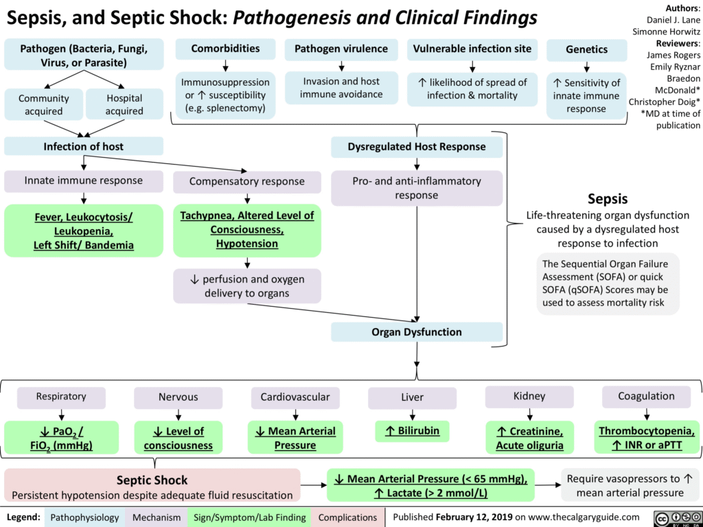 Sepsis, and Septic Shock: Pathogenesis and Clinical Findings, Calgary