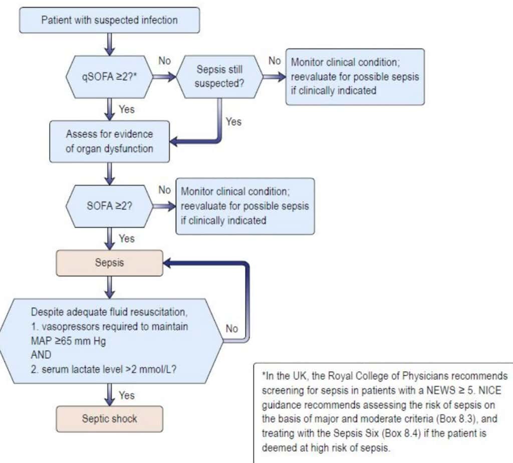 diagnosing sepsis algorithm