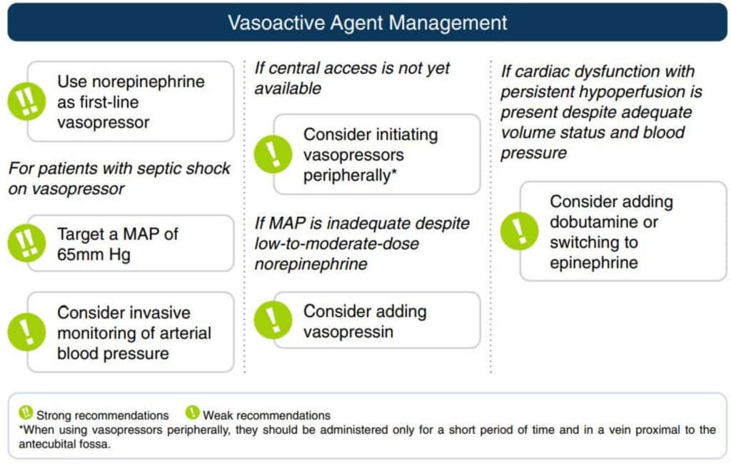 Vasopressor in sepsis, norepinephrine