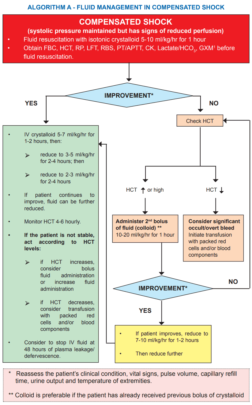 dengue fluid management in compensated shock