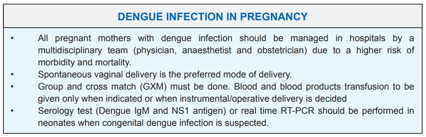 dengue in pregnancy
